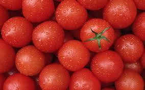 tomates para potencia