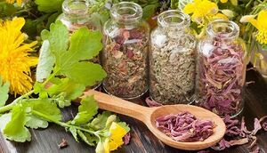 herbas medicinais para o tratamento da prostatite